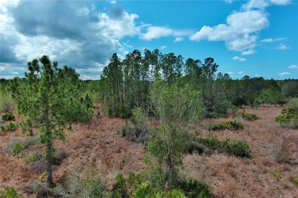 2107 405 Ct E Myakka City FL 34251