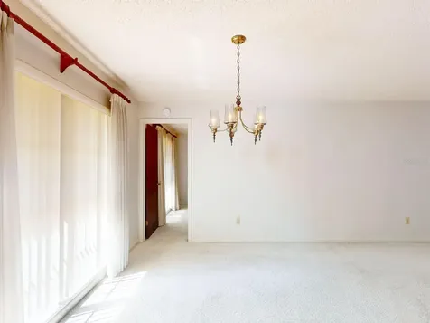 7113 Lauder Place Tampa FL 33617