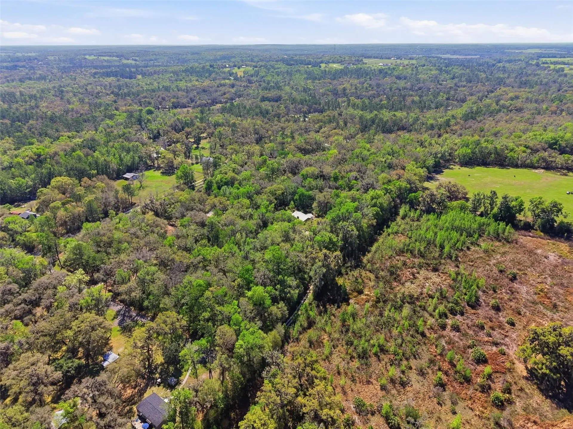 24350 Lanark Road Brooksville FL 34601