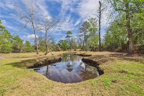 21038 Reindeer Road Christmas FL 32709