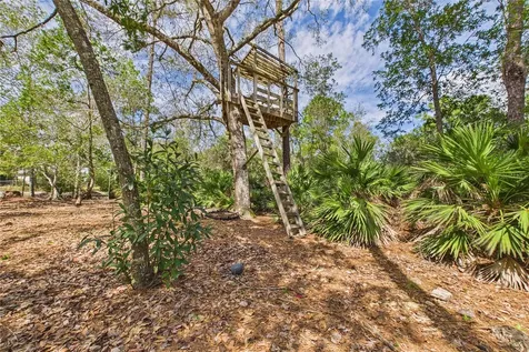 21038 Reindeer Road Christmas FL 32709
