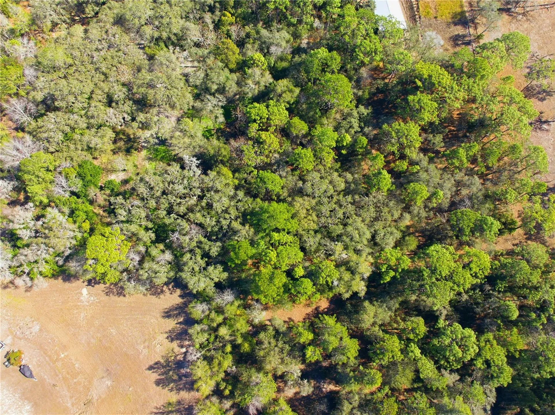 0 Barclay Avenue Spring Hill FL 34609