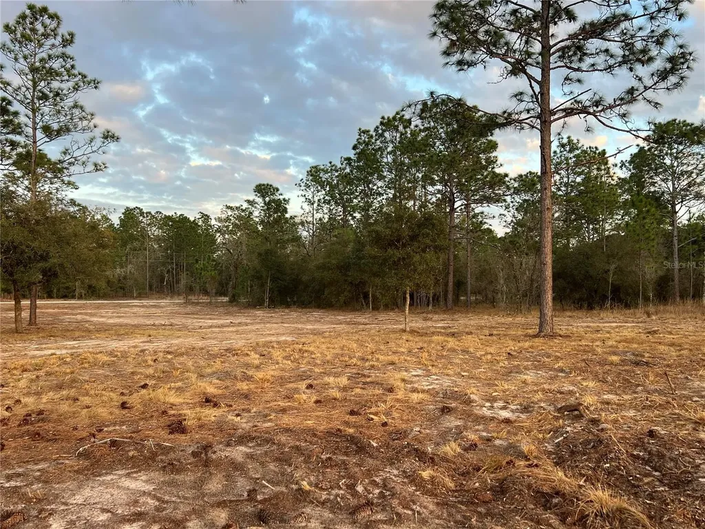 6 SW Lombardy Lane Dunnellon FL 34431