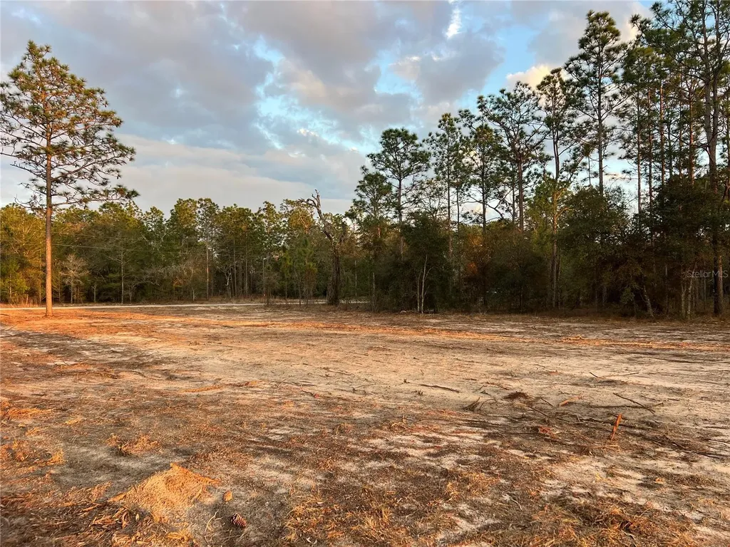 6 SW Lombardy Lane Dunnellon FL 34431