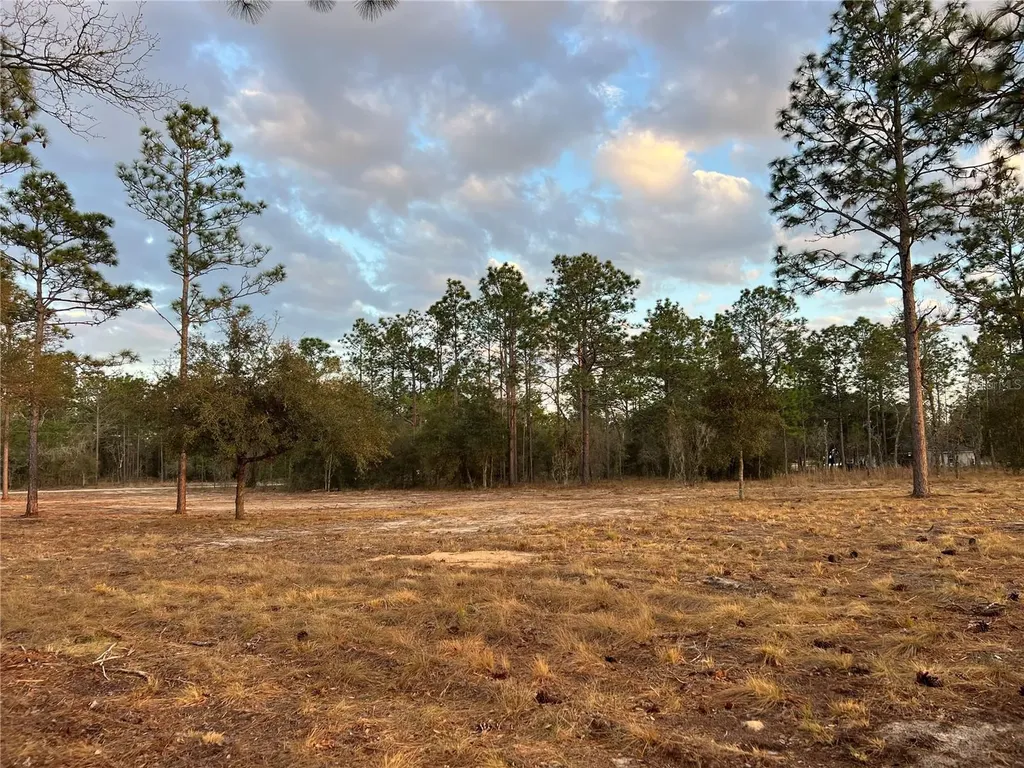 6 SW Lombardy Lane Dunnellon FL 34431