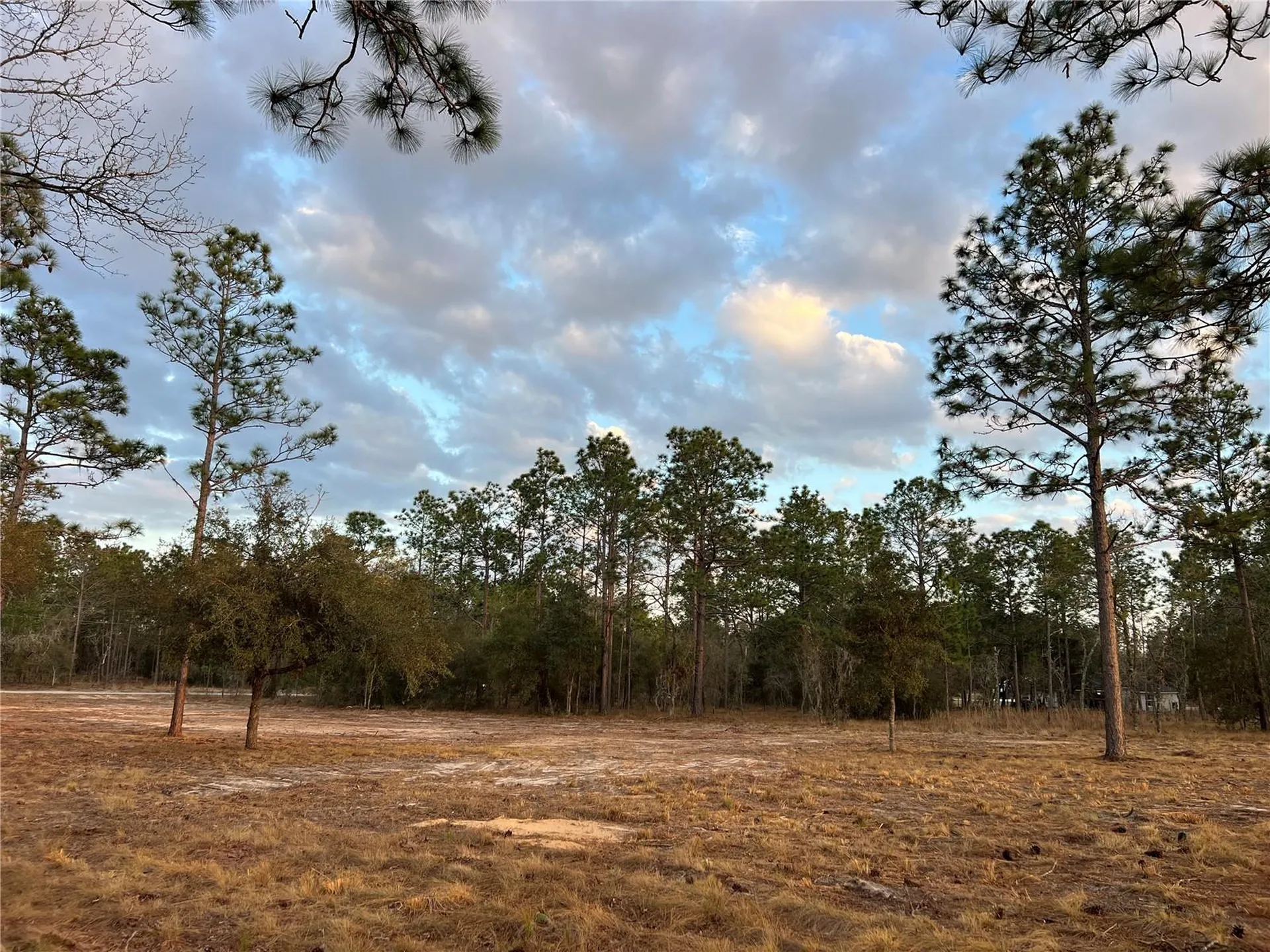 6 SW Lombardy Lane Dunnellon FL 34431