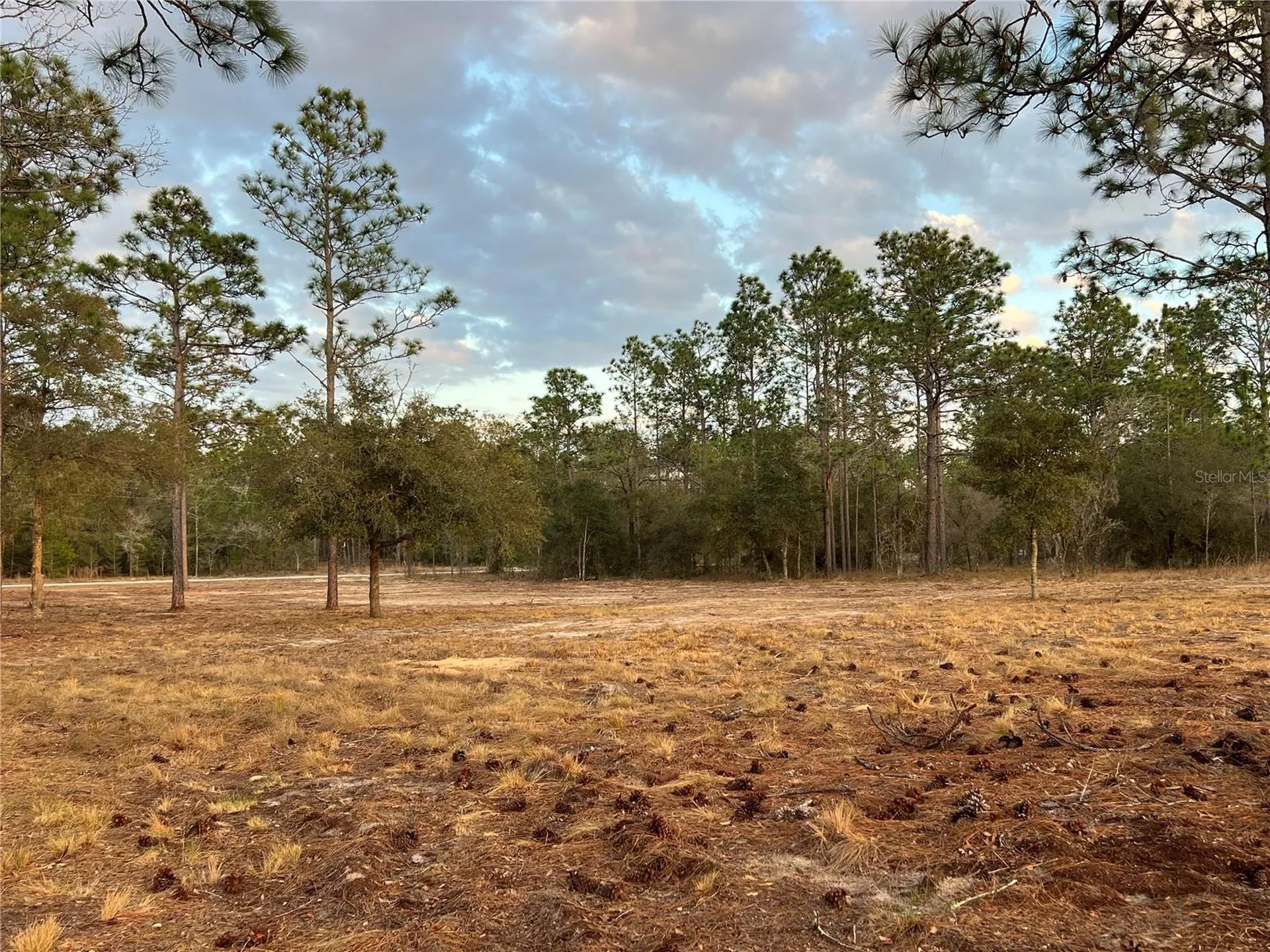 6 SW Lombardy Lane Dunnellon FL 34431