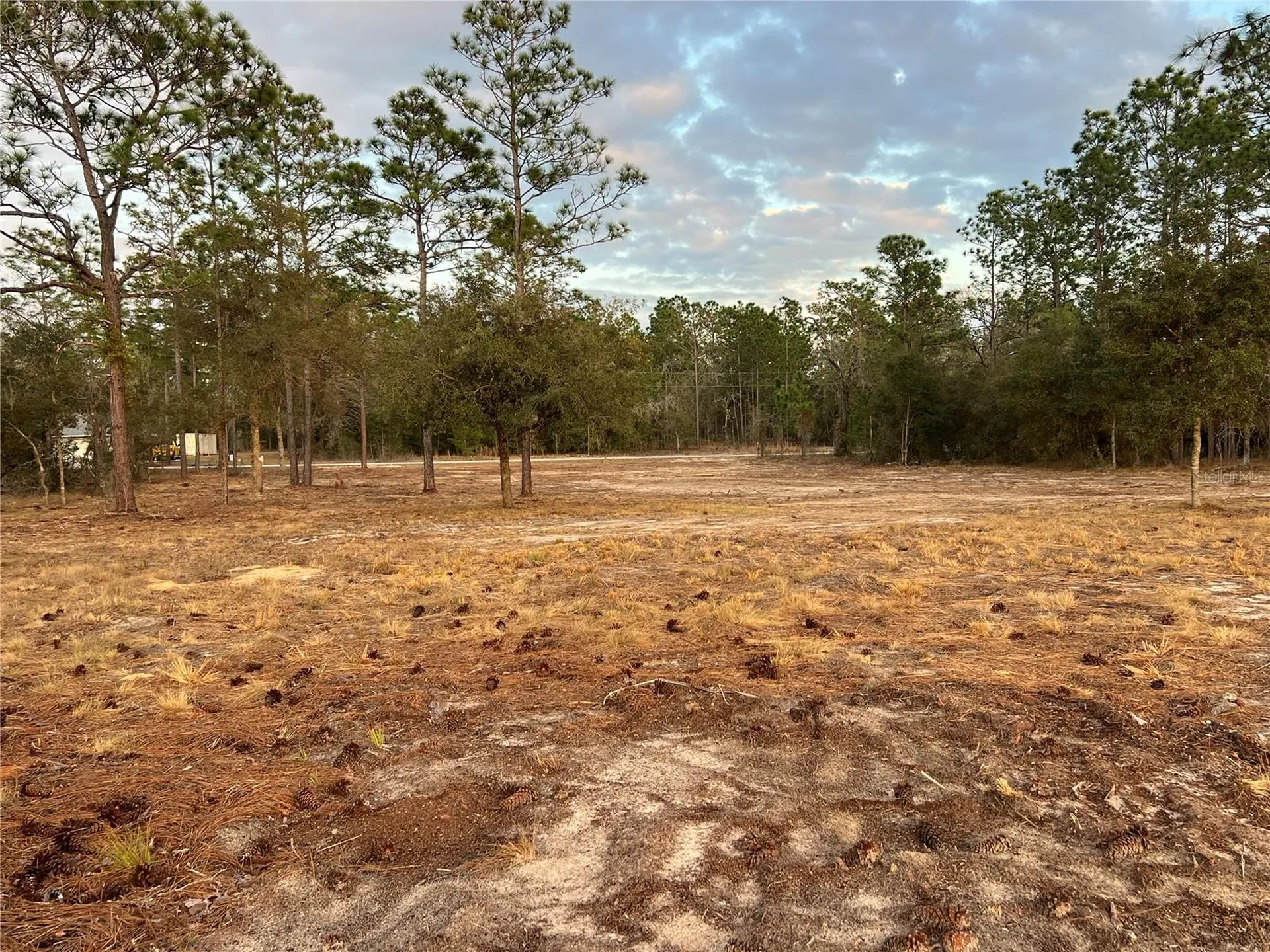 6 SW Lombardy Lane Dunnellon FL 34431
