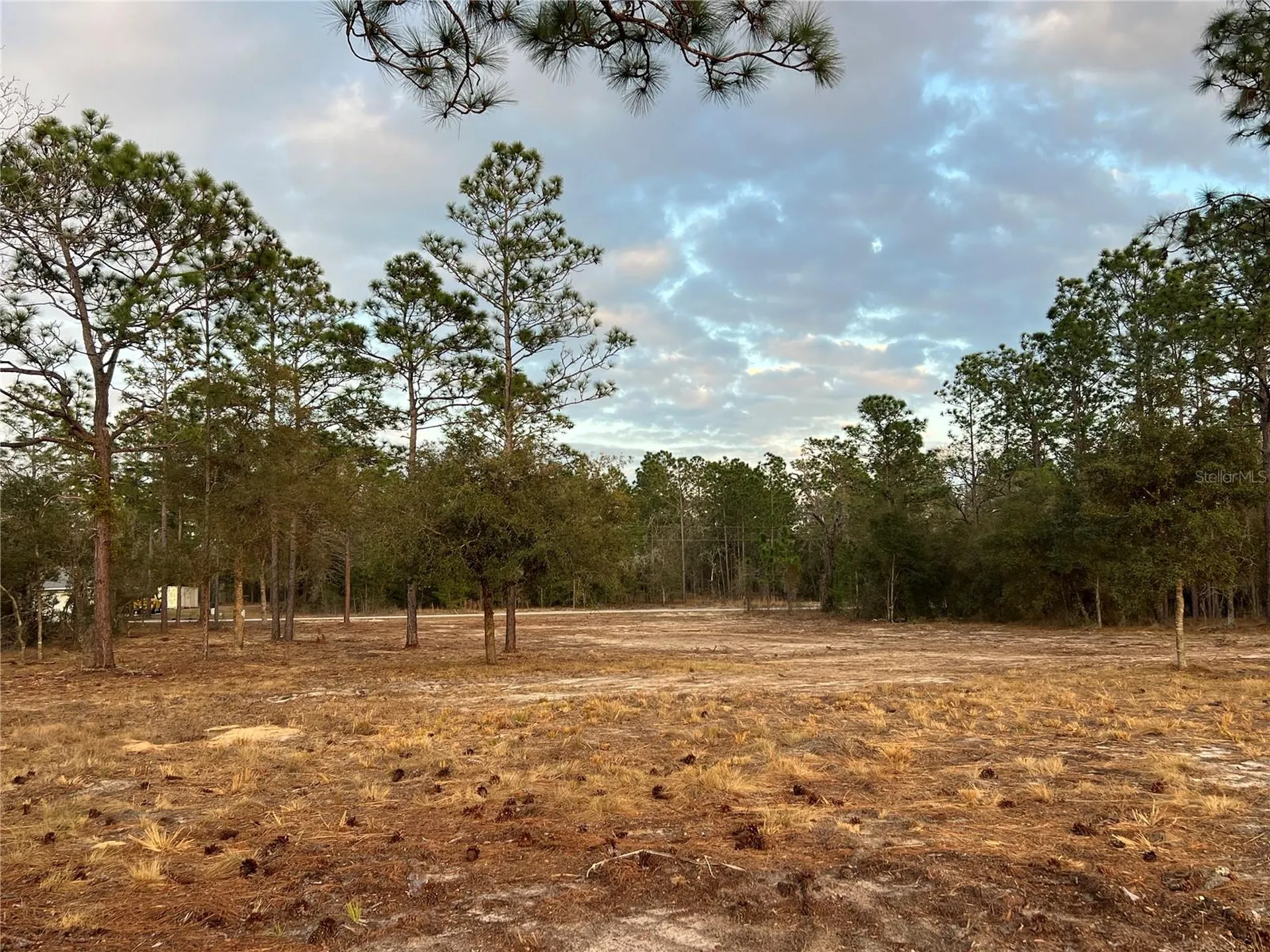 6 SW Lombardy Lane Dunnellon FL 34431