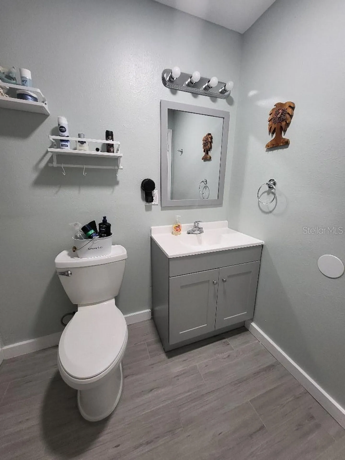 995 Emerald Drive Mount Dora FL 32757