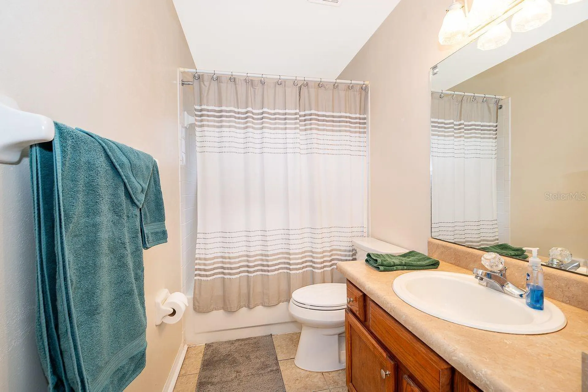 25741 Belle Helene Leesburg FL 34748