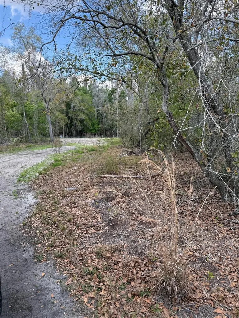 4021 Bruton Road Plant City FL 33565