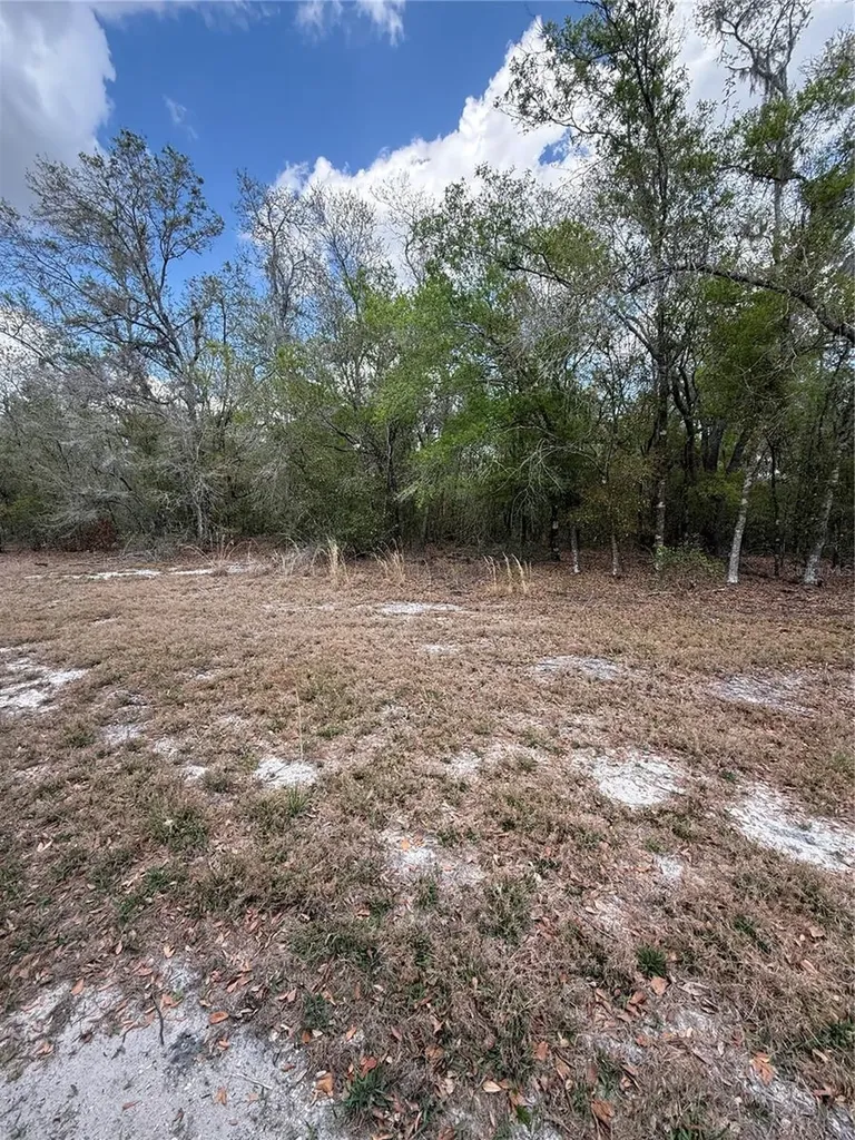 4021 Bruton Road Plant City FL 33565