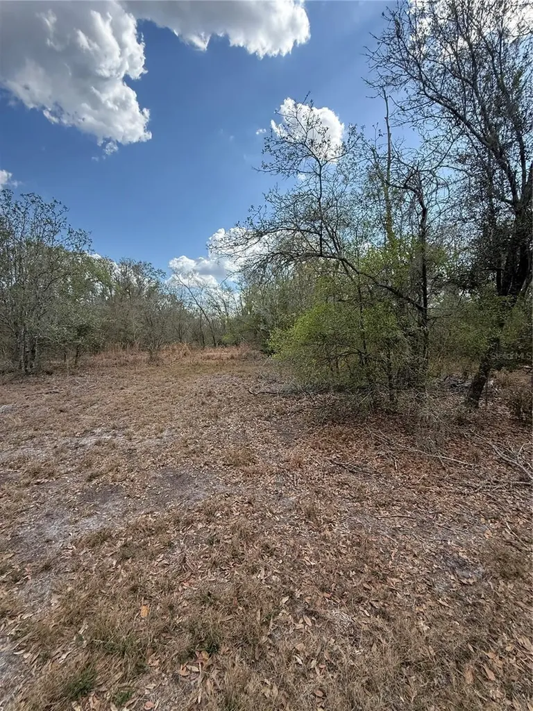4021 Bruton Road Plant City FL 33565