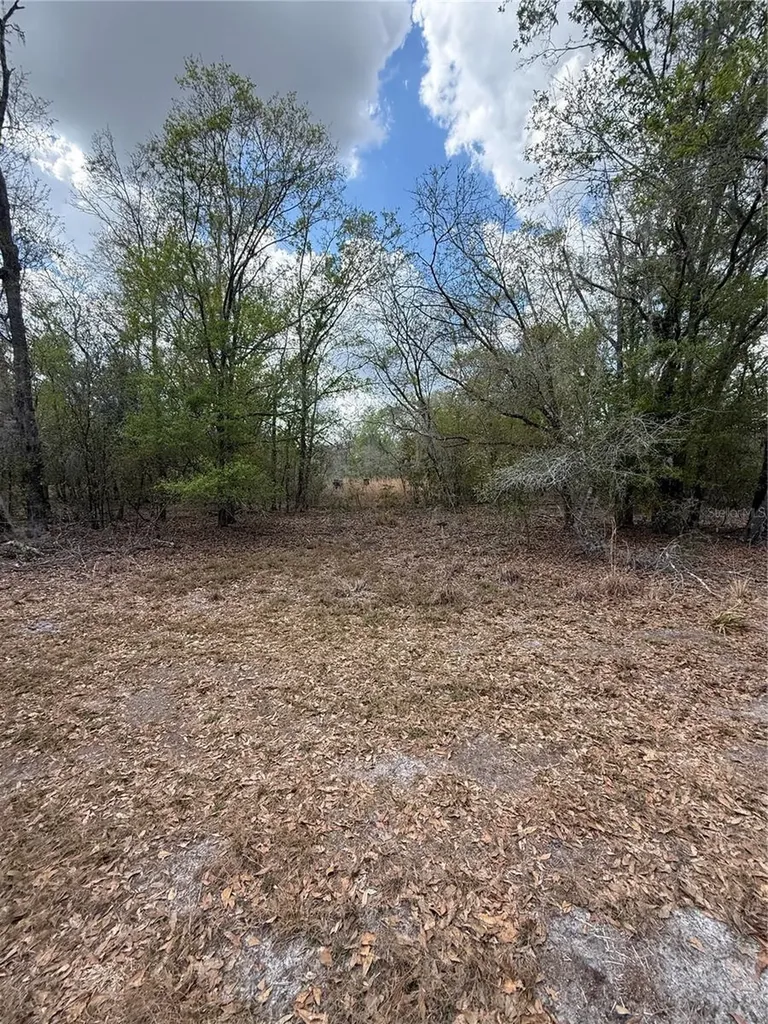 4021 Bruton Road Plant City FL 33565