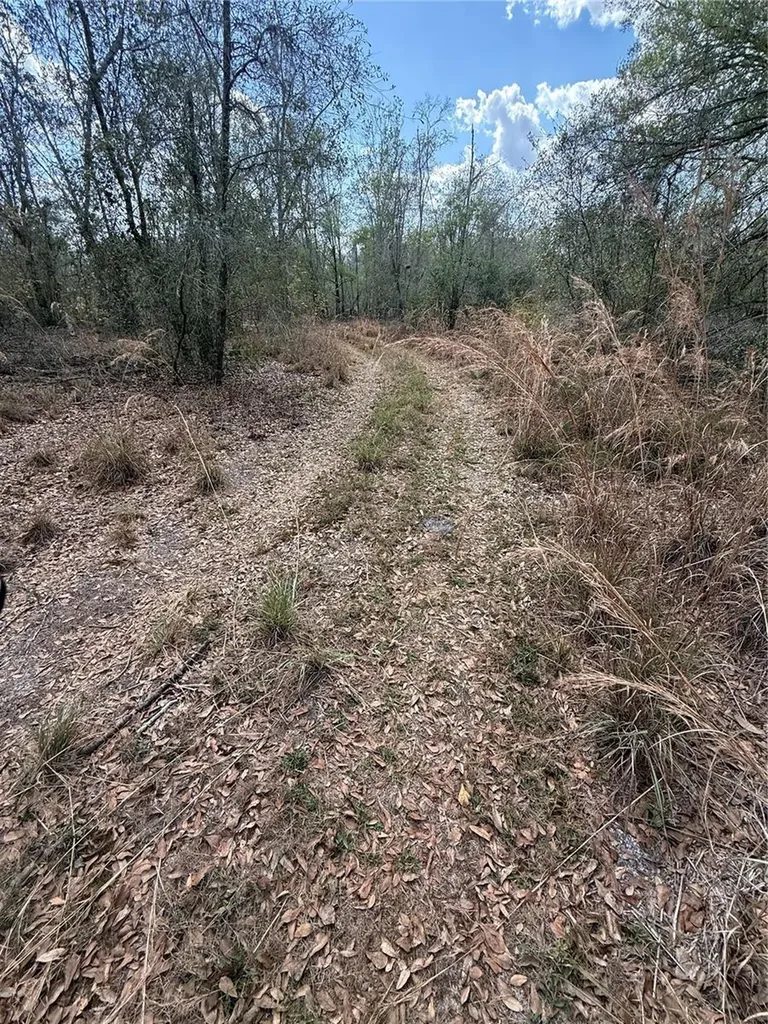 4021 Bruton Road Plant City FL 33565