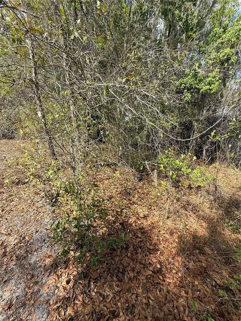 4021 Bruton Road Plant City FL 33565