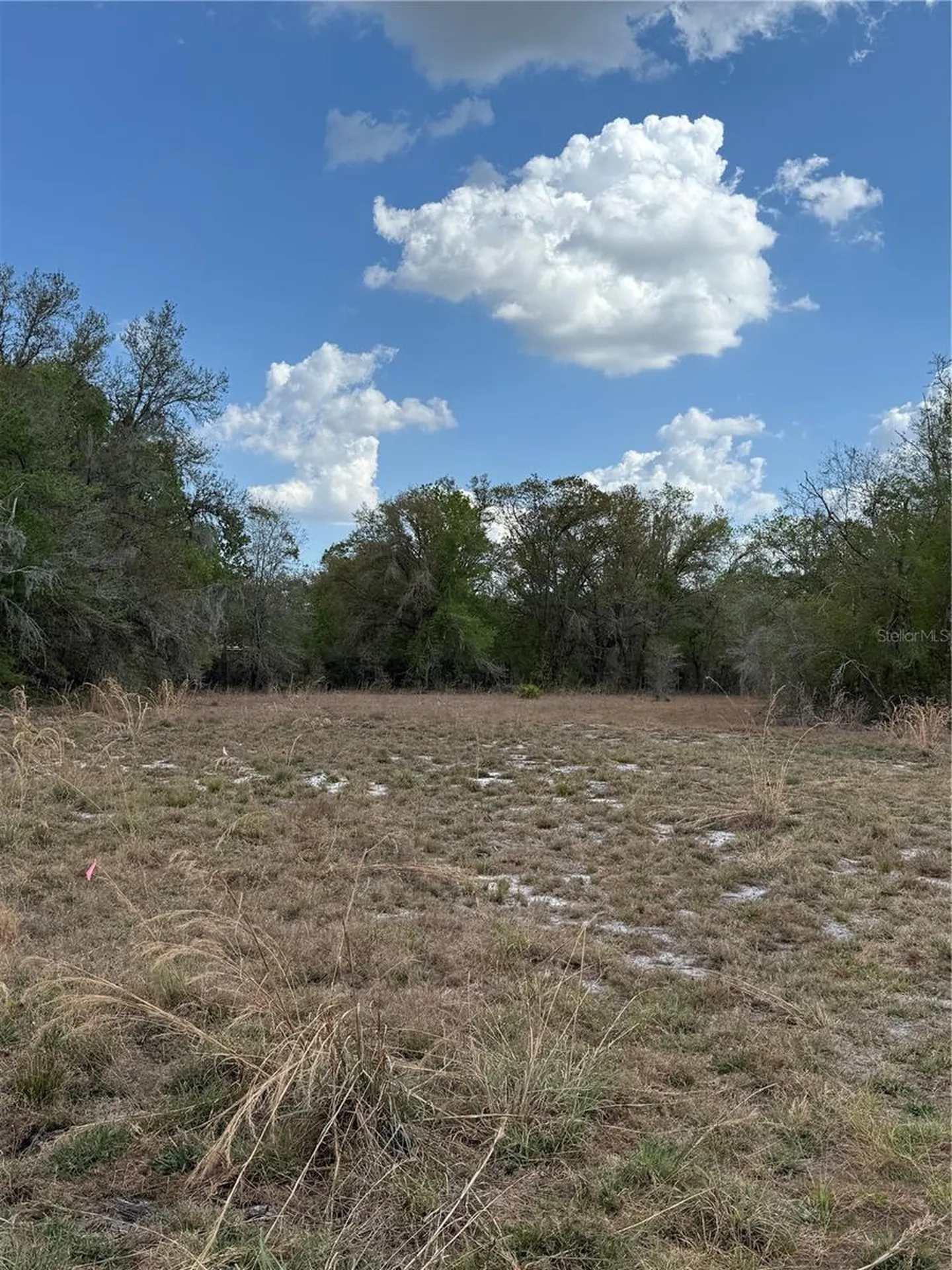4021 Bruton Road Plant City FL 33565