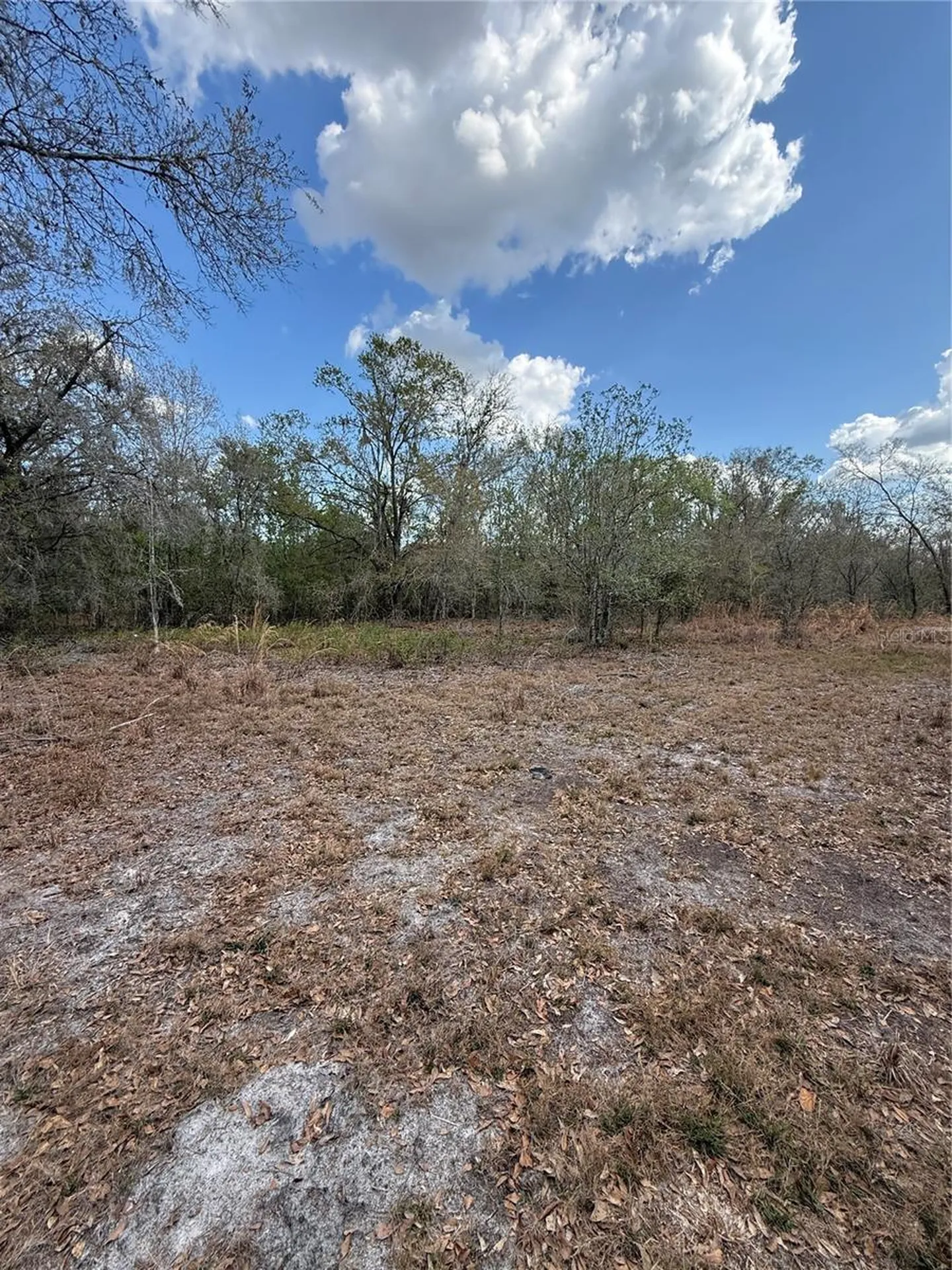 4021 Bruton Road Plant City FL 33565