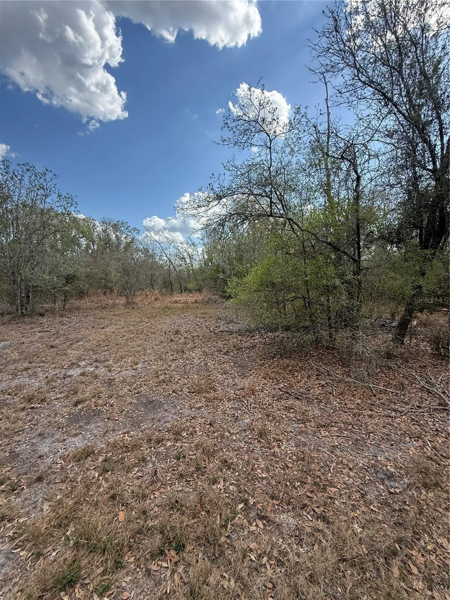 4021 Bruton Road Plant City FL 33565