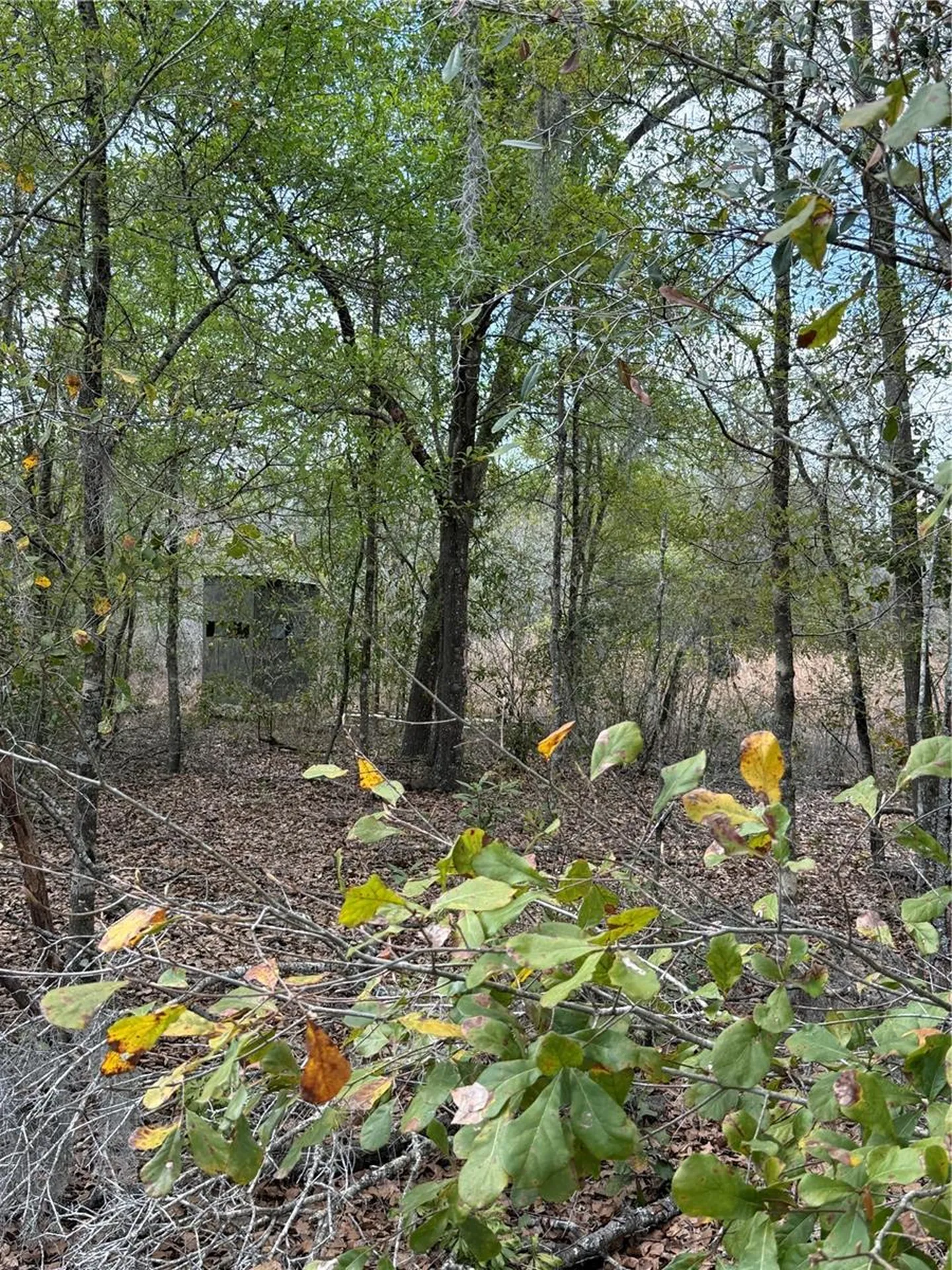 4021 Bruton Road Plant City FL 33565