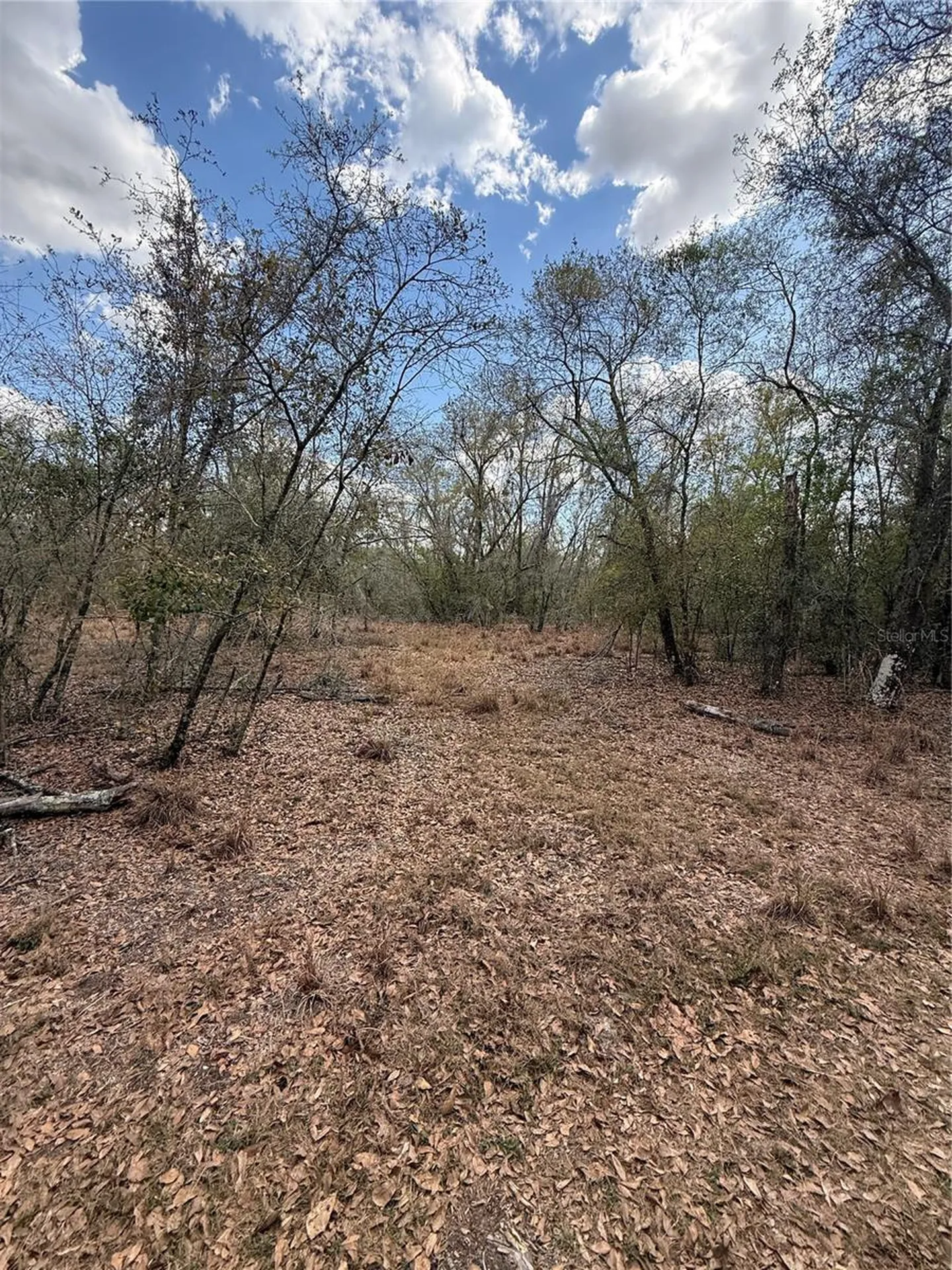 4021 Bruton Road Plant City FL 33565
