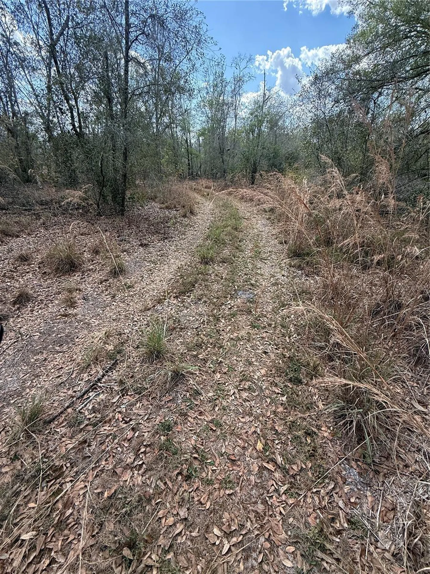 4021 Bruton Road Plant City FL 33565