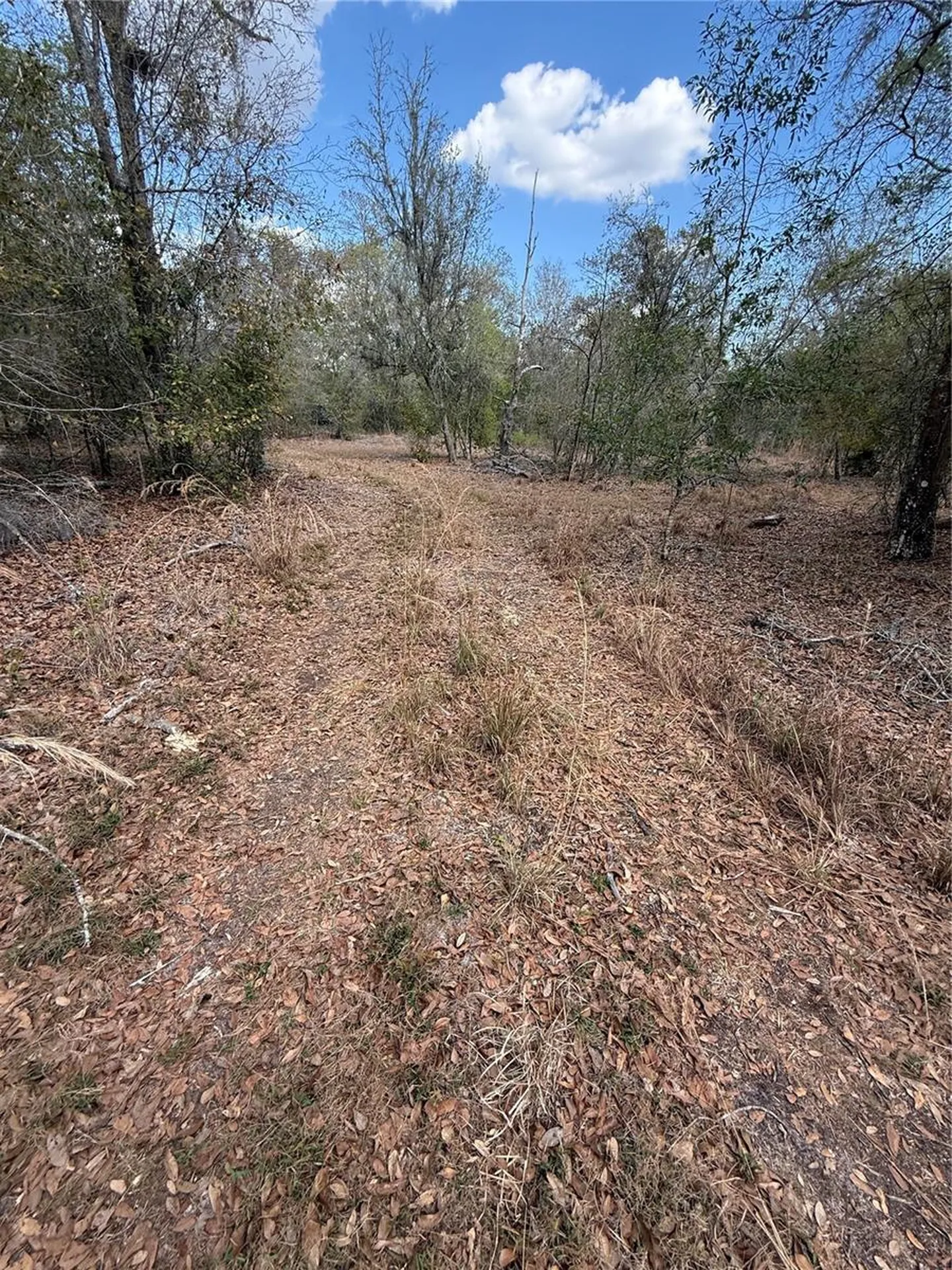 4021 Bruton Road Plant City FL 33565