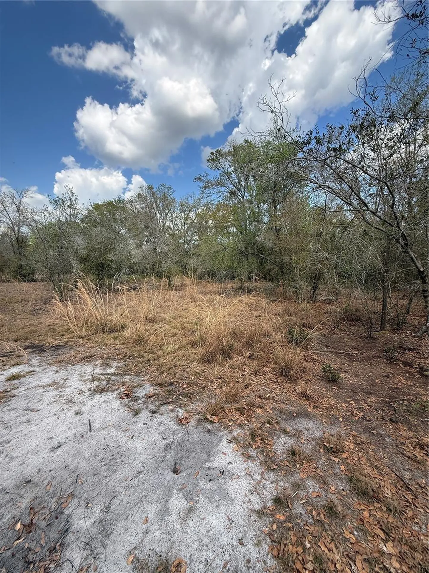 4021 Bruton Road Plant City FL 33565