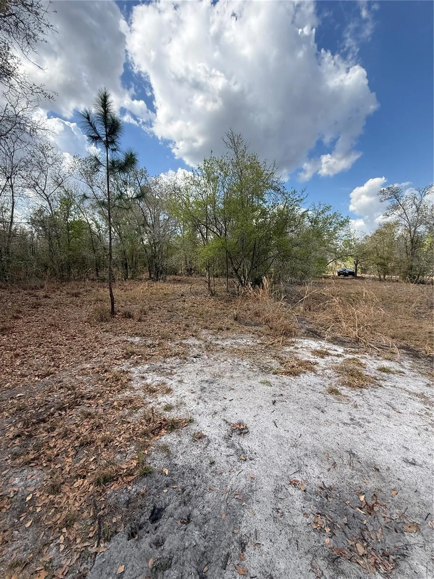 4021 Bruton Road Plant City FL 33565