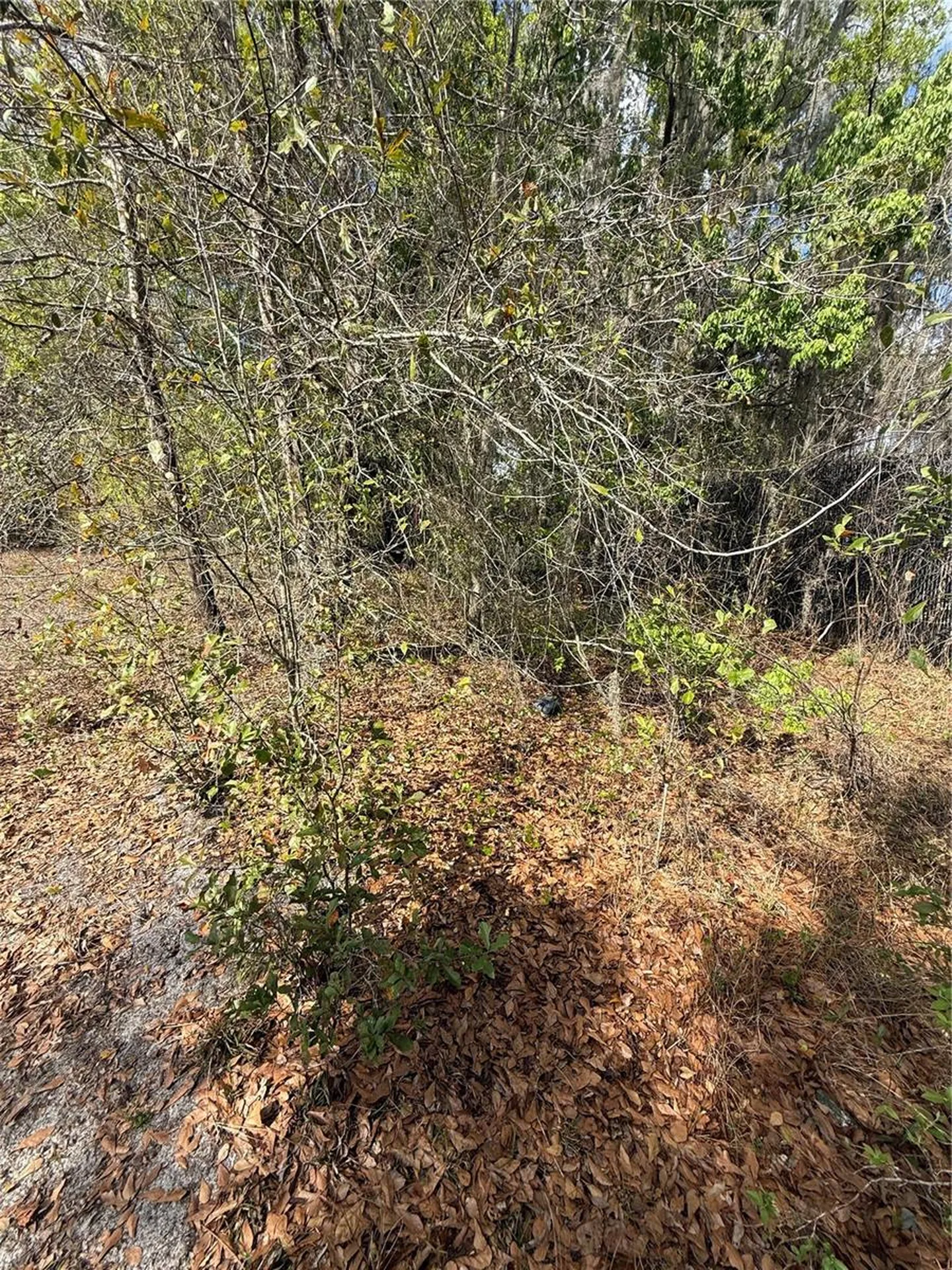 4021 Bruton Road Plant City FL 33565