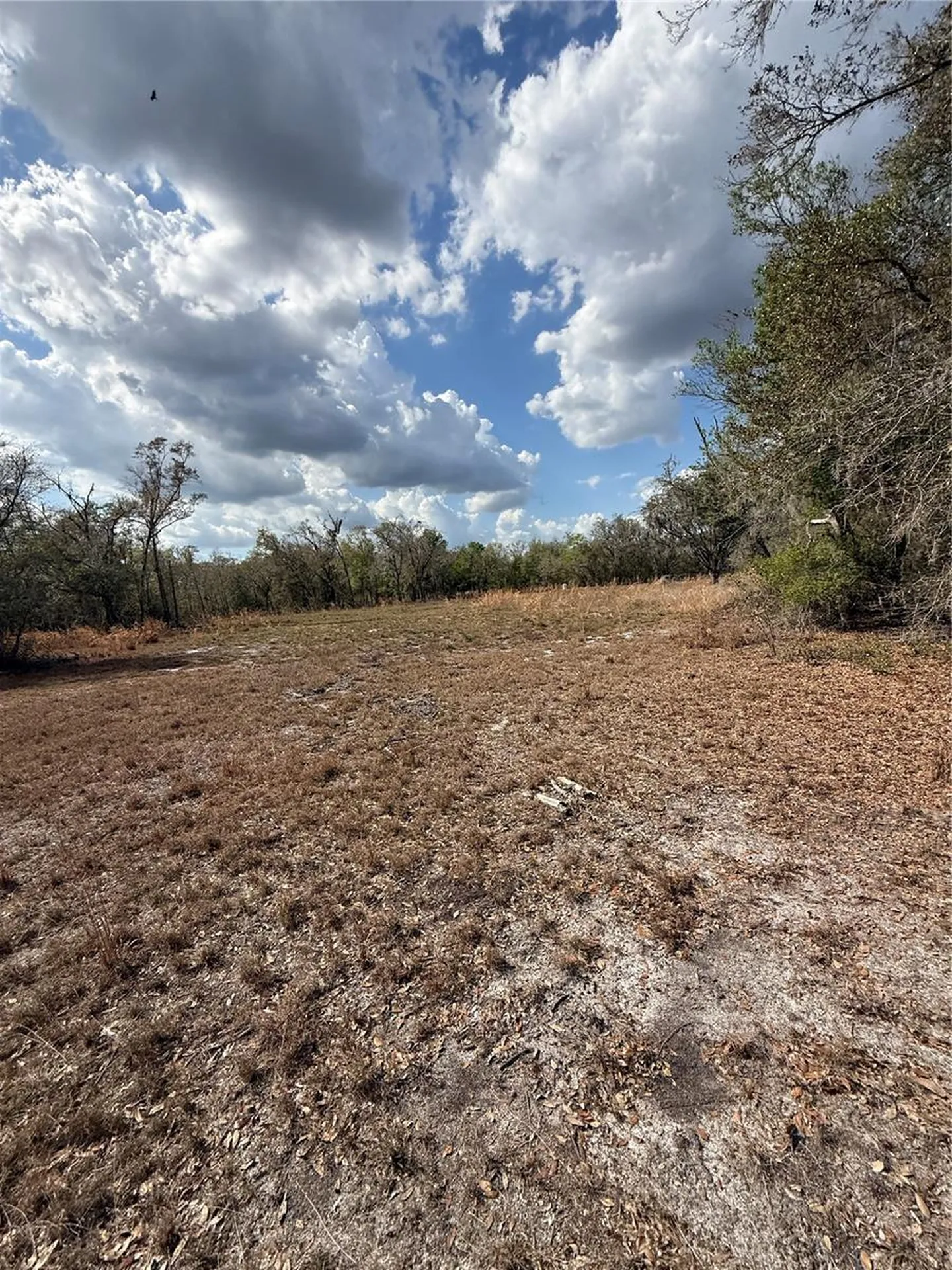 4021 Bruton Road Plant City FL 33565