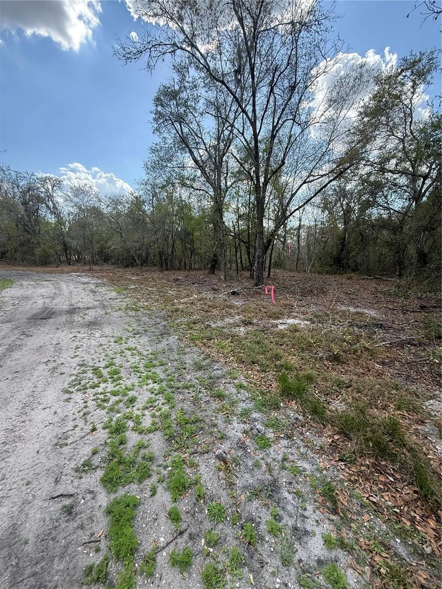 4021 Bruton Road Plant City FL 33565
