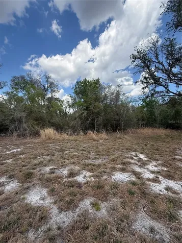 4021 Bruton Road Plant City FL 33565