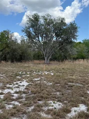 4021 Bruton Road Plant City FL 33565