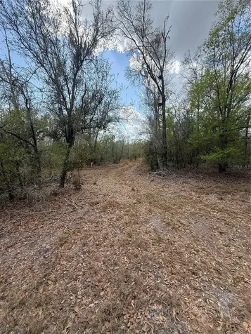 4021 Bruton Road Plant City FL 33565