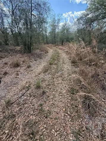 4021 Bruton Road Plant City FL 33565