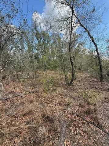 4021 Bruton Road Plant City FL 33565