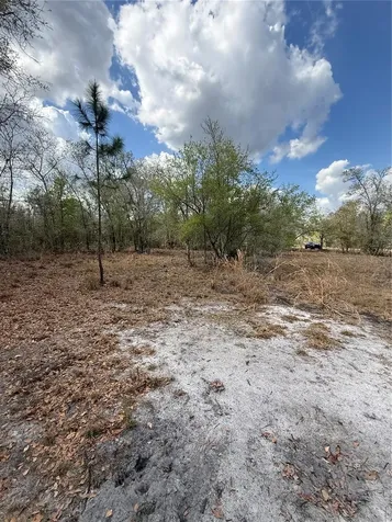 4021 Bruton Road Plant City FL 33565