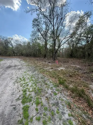 4021 Bruton Road Plant City FL 33565