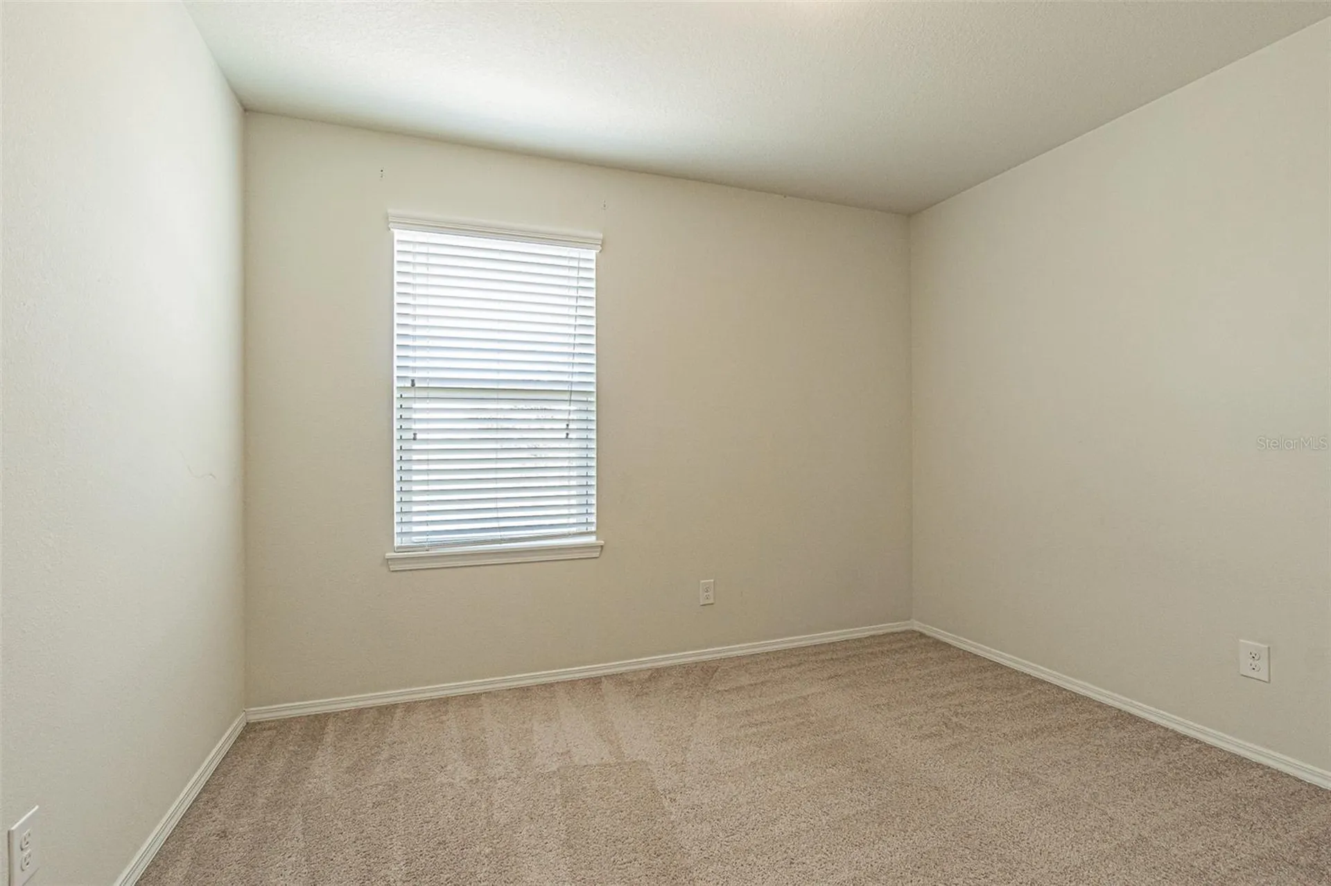9303 American Hickory Lane Riverview FL 33578