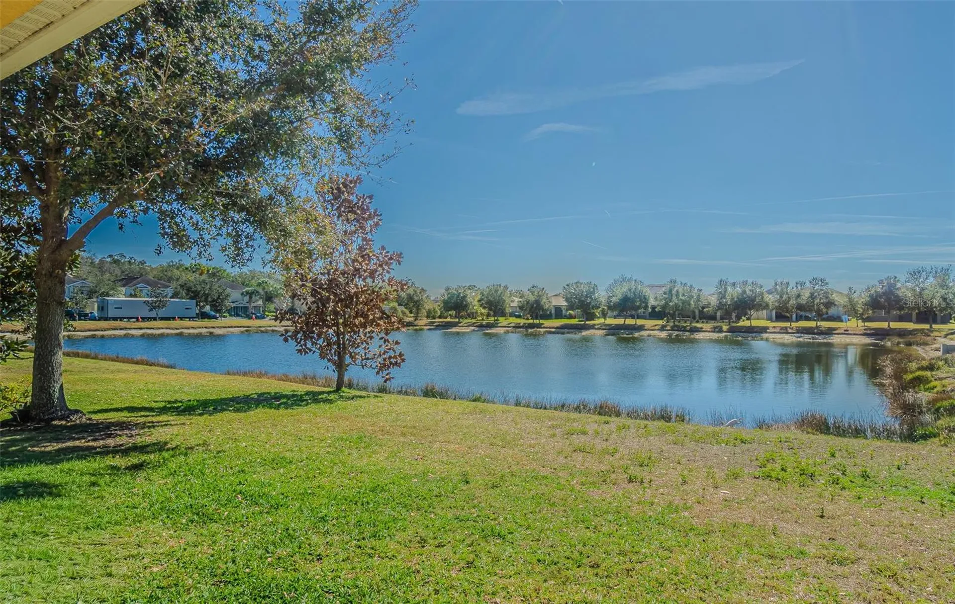 9303 American Hickory Lane Riverview FL 33578