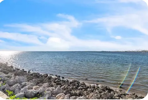 2506 N Rocky Point Drive Tampa FL 33607