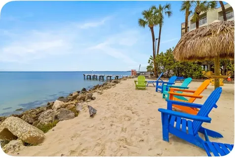 2506 N Rocky Point Drive Tampa FL 33607