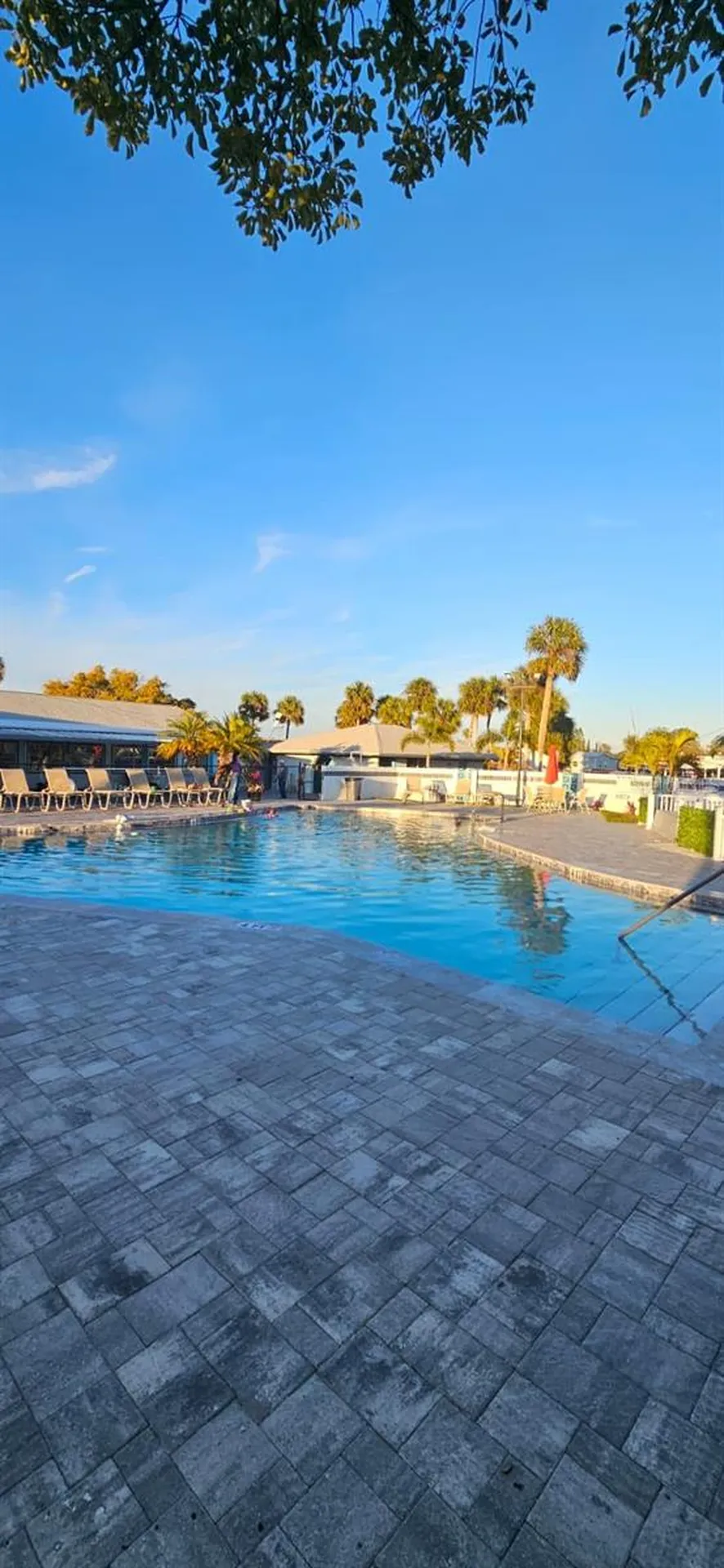1731 Button Street Holiday FL 34690