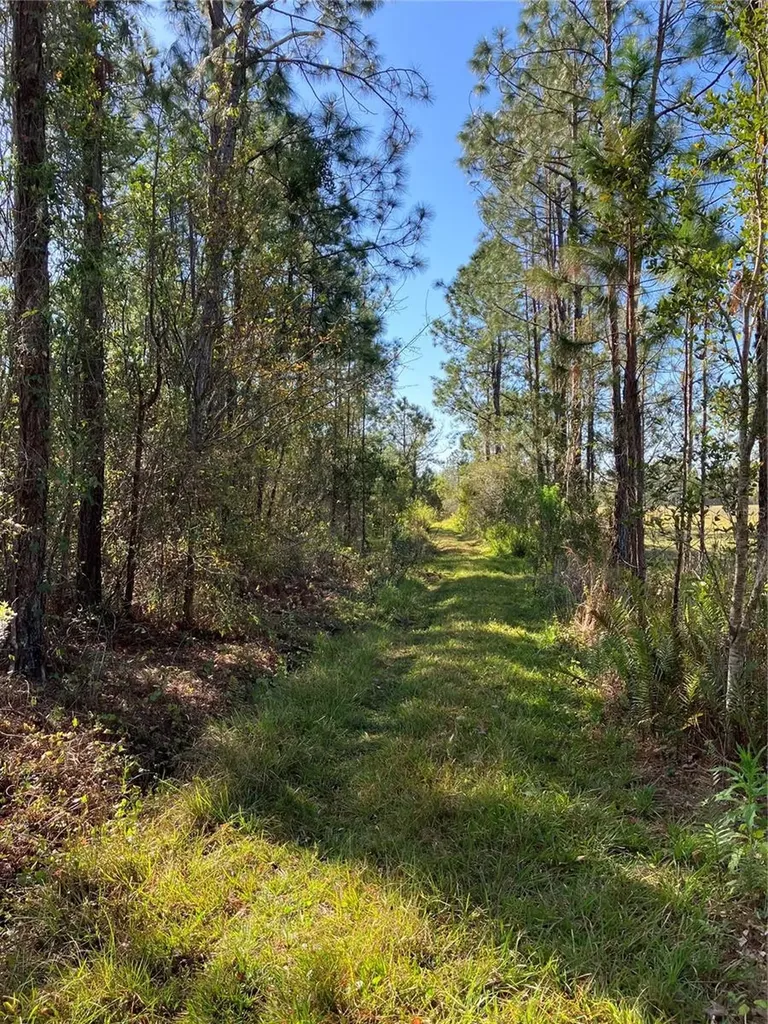 4620 405th Street E Myakka City FL 34251