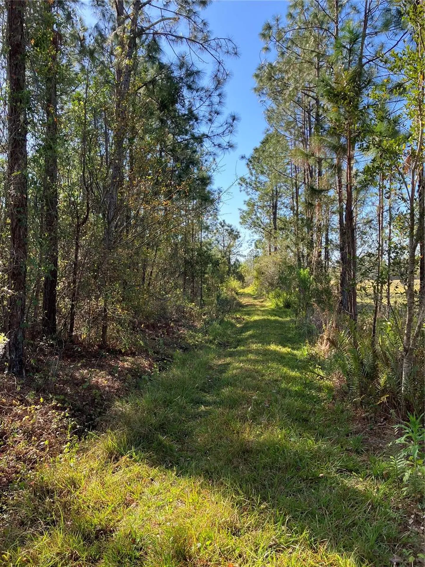 4620 405th Street E Myakka City FL 34251