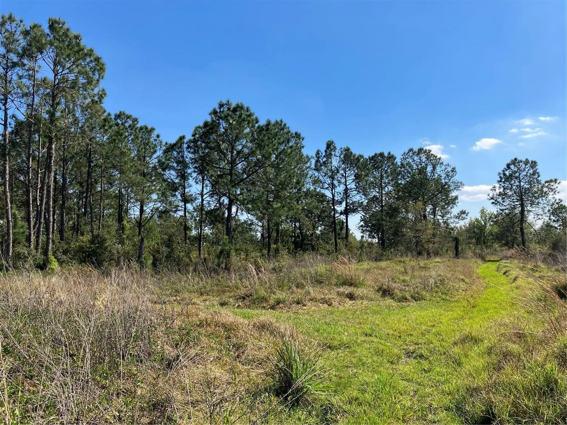 4620 405th Street E Myakka City FL 34251