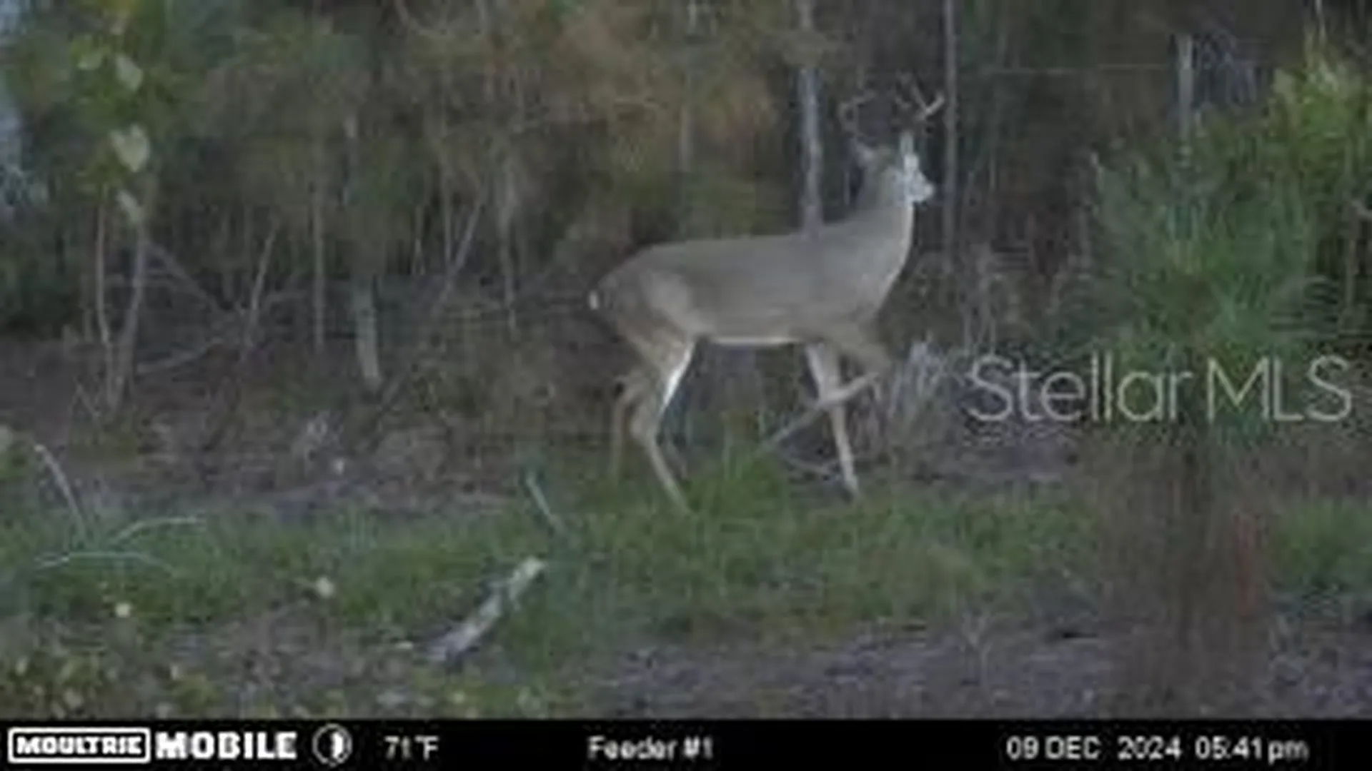 4620 405th Street E Myakka City FL 34251