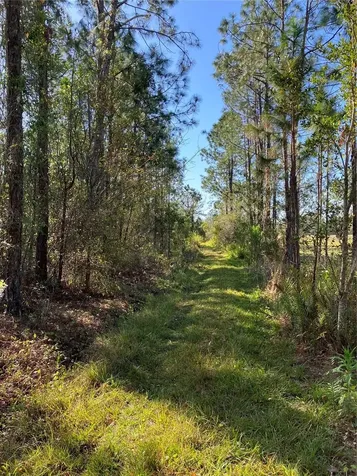 4620 405th Street E Myakka City FL 34251
